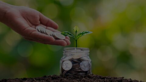 A hand leaving coins in a small pot where a little plant is growing