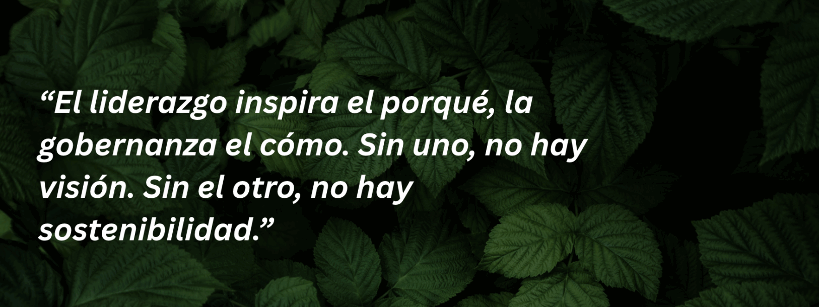 Liderazgo y gobernanza